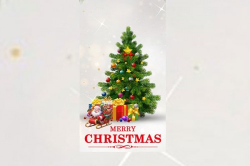 Telugu states mark Christmas celebrations with pomp & gaiety