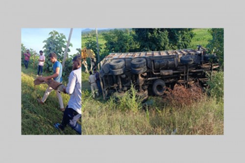 Truck carrying wild animals overturn sin Telangana, escaped crocs recaptured