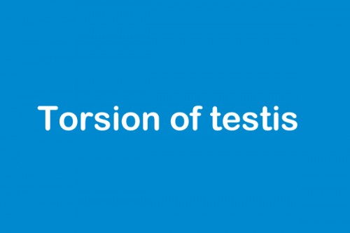 Torsion of testis in 18-year-old corrected