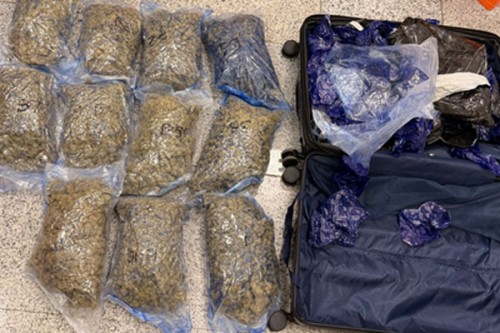 Hydroponically grown cannabis worth Rs 8.9 crore seized at Hyderabad Airport