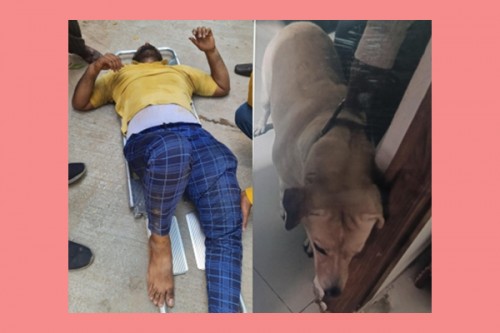 Hyderabad: Delivery agent jumps off 3rd floor of building to escape dog attack